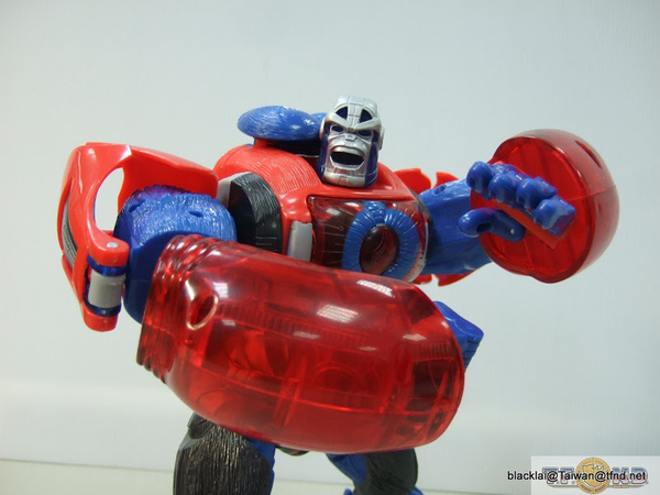 Year Of The Monkey Optimus Primal Out Of Box Show Platinum Edition Compared With Original  (43 of 50)
